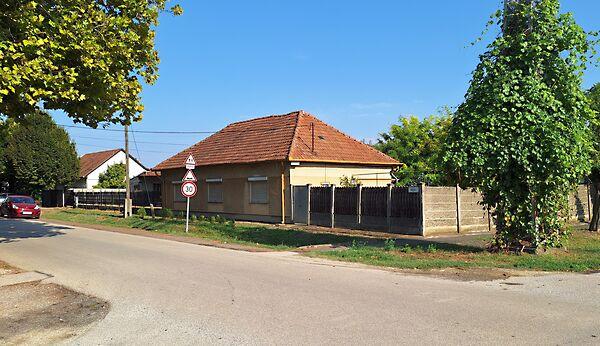 Rózsa, Békéscsaba képe