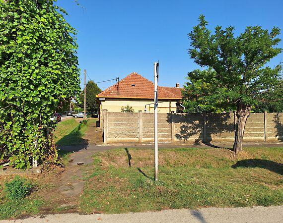 Rózsa, Békéscsaba 2. képe