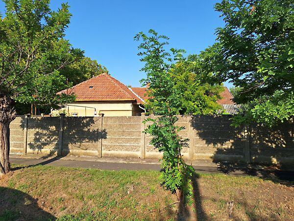 Rózsa, Békéscsaba 3. képe