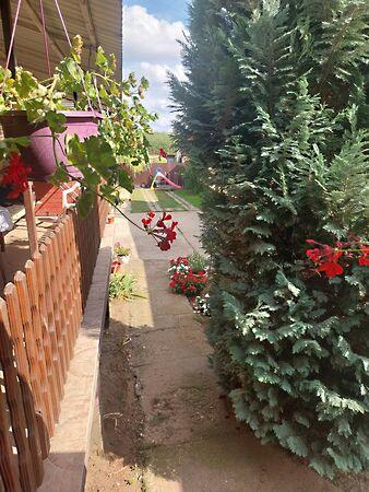 Dózsa György, Kékcse 2. képe