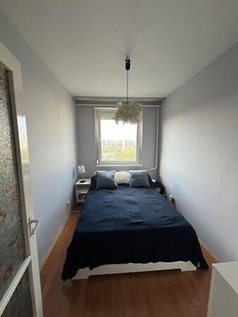 Deák Ferenc, Budapest, IV. kerület 3. képe