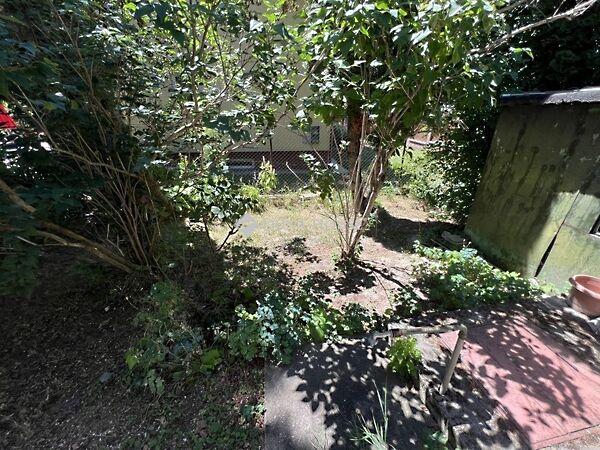 Budapest, III. kerület 3. képe