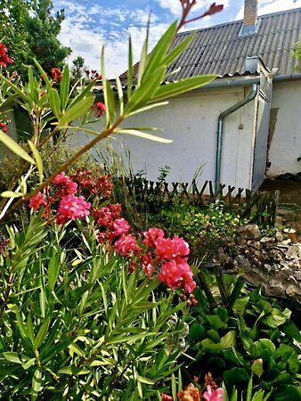 Zalaegerszeg 3. képe