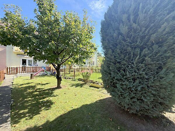 Kerváross kedvelt, Zalaegerszeg képe