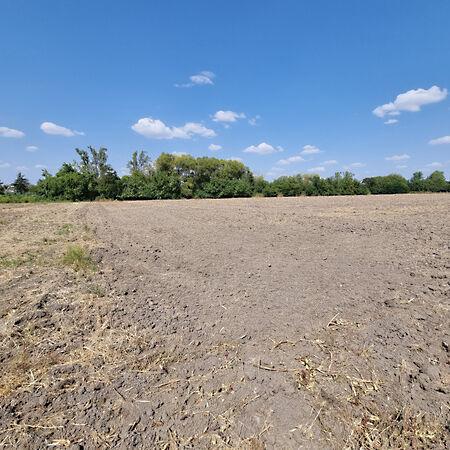 Békésszentandrás 2. képe