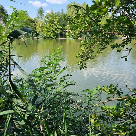 Békésszentandrás 3. képe