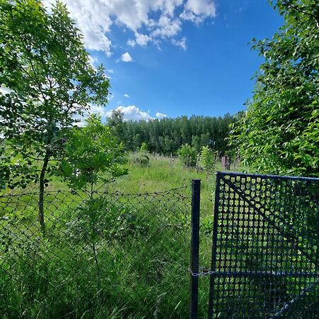 Békésszentandrás 3. képe