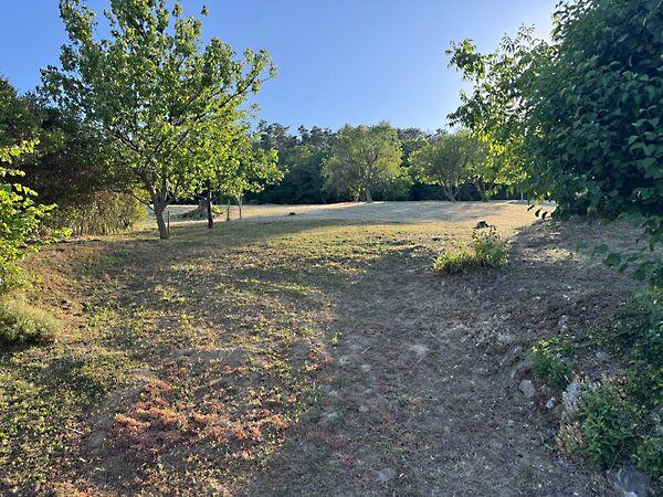 Balatonederics 2. képe