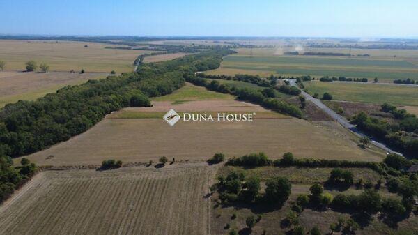 Virágos, Villány 2. képe