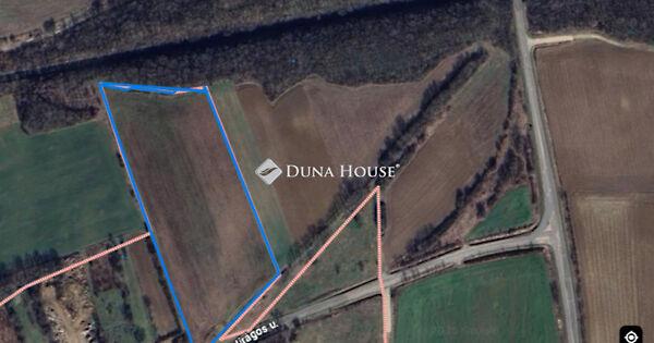 Virágos, Villány 3. képe