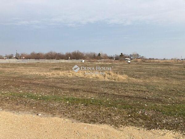 Kastélykert, Algyő 3. képe