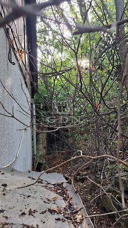 Koppány, Solymár 2. képe