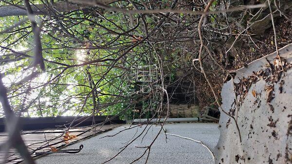 Koppány, Solymár 3. képe