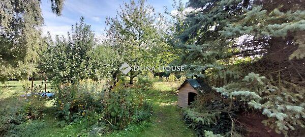 István, Szárliget képe