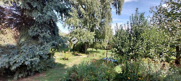 István, Szárliget képe