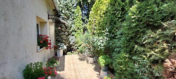 István, Szárliget 2. képe