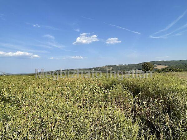 Jókai Mór, Zalaszentlászló 2. képe