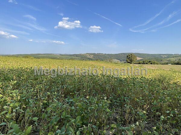 Jókai Mór, Zalaszentlászló 3. képe