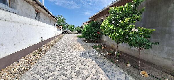 Fő, Kiskőrös 2. képe