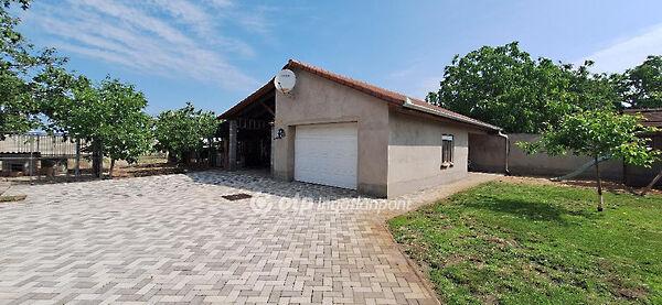 Fő, Kiskőrös 3. képe