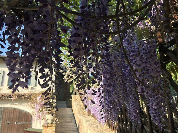 Kőpor, Budapest, III. kerület 2. képe