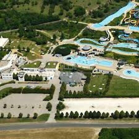 Kamillás, Mogyoród 3. képe