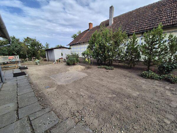 Pacsirta, Jánoshalma 2. képe