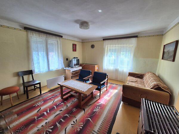 Pacsirta, Jánoshalma 3. képe