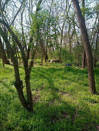 Békésszentandrás képe