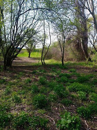 Békésszentandrás 2. képe