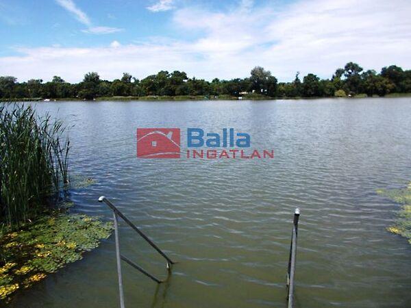 Domariba, Dunavarsány 3. képe