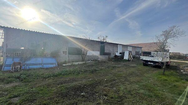 Dunavarsány 3. képe