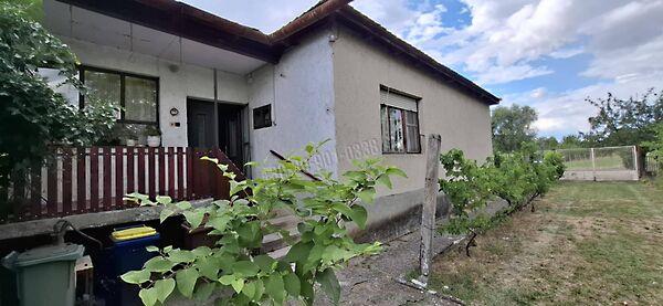 Zagyvaszántó 2. képe