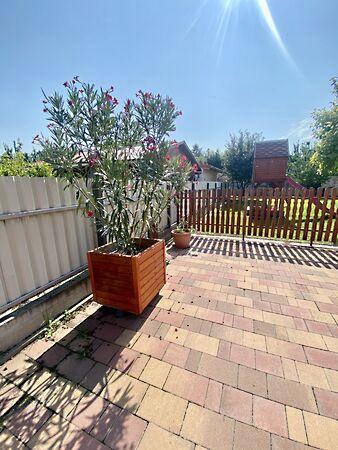 Halásztelek 2. képe