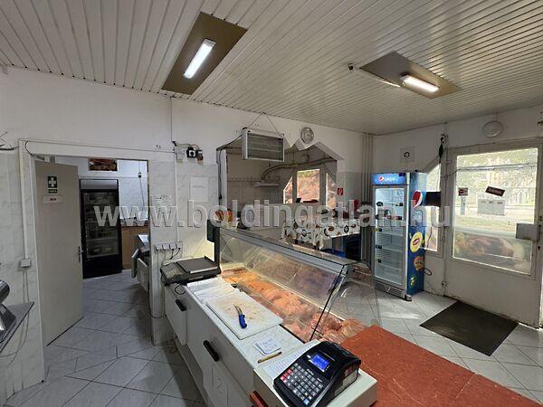 Szondy György, Kaposvár 3. képe