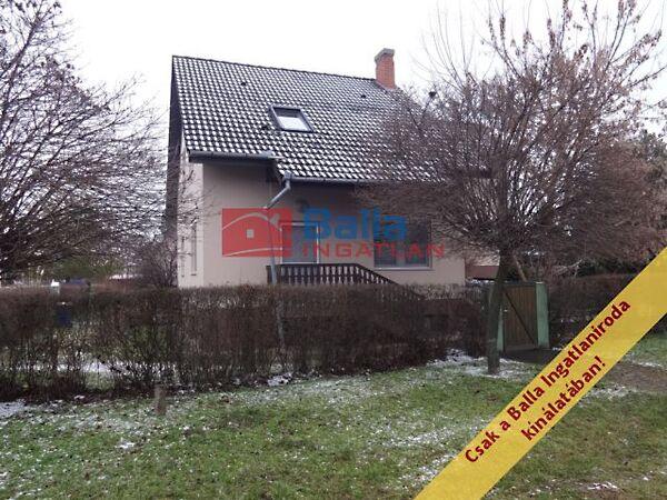 Dr. Bedő István, Tiszakécske 3. képe