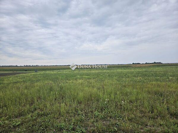 Dunaszeg 2. képe