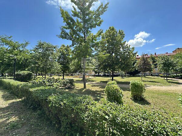 Ányos Pál, Székesfehérvár 3. képe