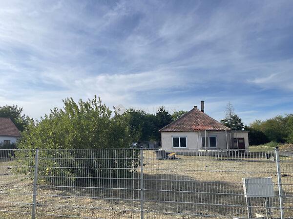 Rádóckölked képe