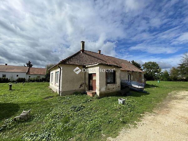 Rádóckölked 3. képe