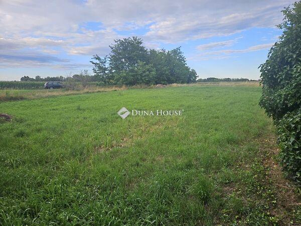 Győrladamér 2. képe