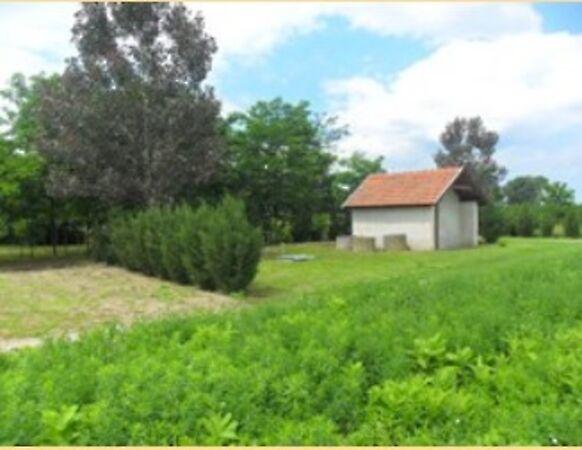 Tiszakécske 2. képe