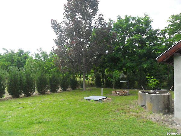 Tiszakécske 3. képe