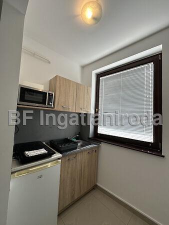 Hajdúszoboszló 3. képe