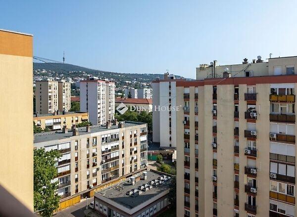 Szigeti, Pécs képe