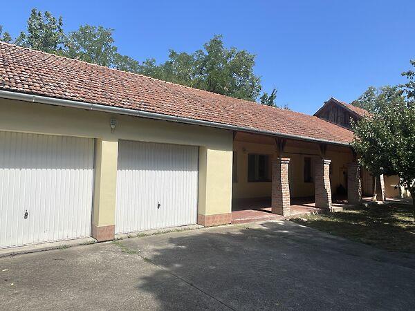 Szabó Dezső, Békés 2. képe