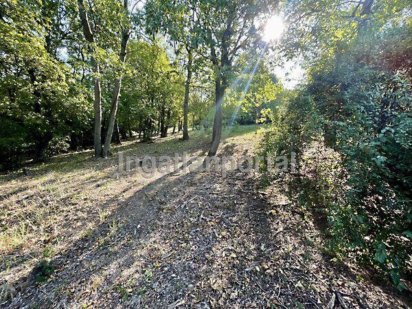 Tahitótfalu 3. képe