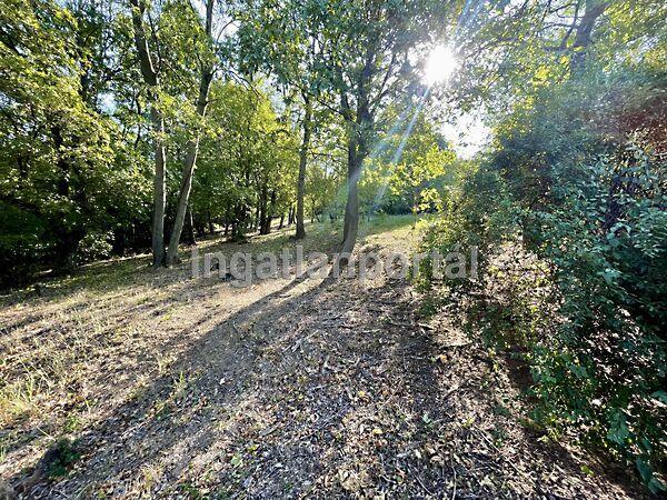 Tahitótfalu 2. képe