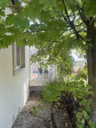 Balatongyörök 2. képe