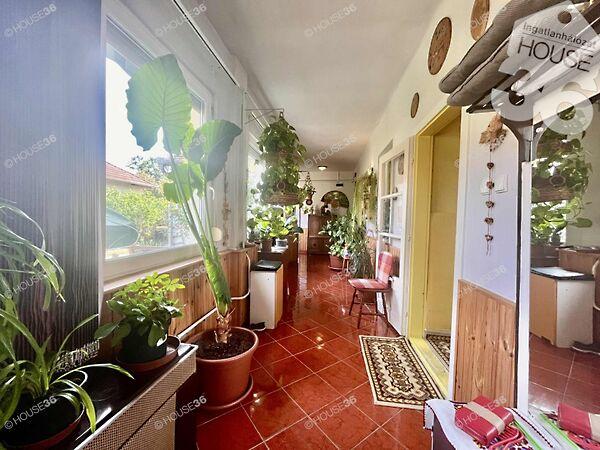 Tiszaalpár 3. képe